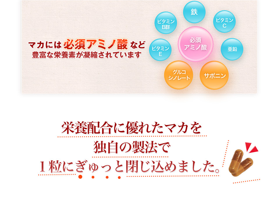 マカには必須アミノ酸など豊富な栄養素が凝縮されています 栄養配合に優れたマカを独自製法で一粒にぎゅっと閉じ込めました