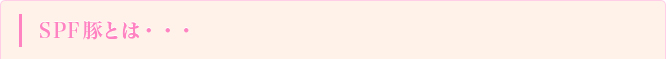 ＳＰＦ豚とは・・・
